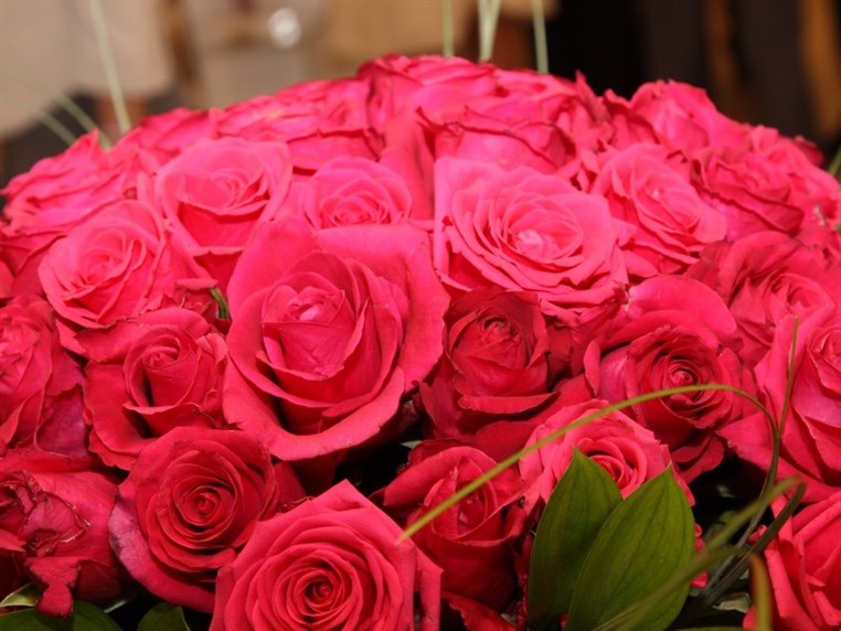 Opening of FEDCO Dbayeh Boutique