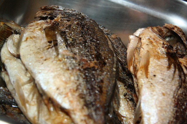 Fisherman Catch Night