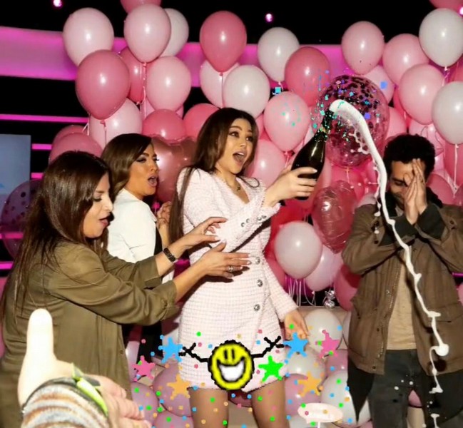Haifa Wehbe's Surprise Birthday Party 