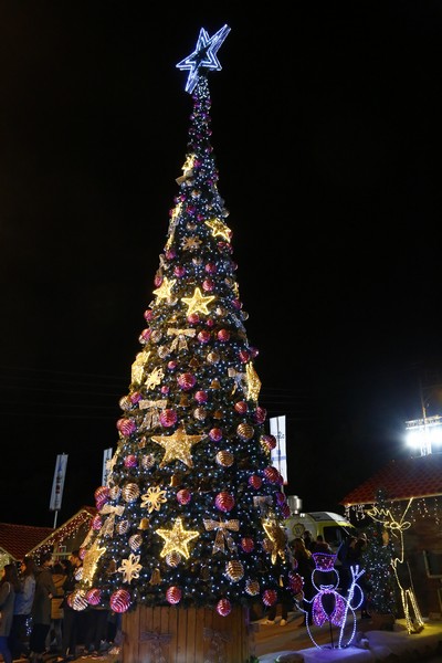 Marche de Noel Daroun-Harissa