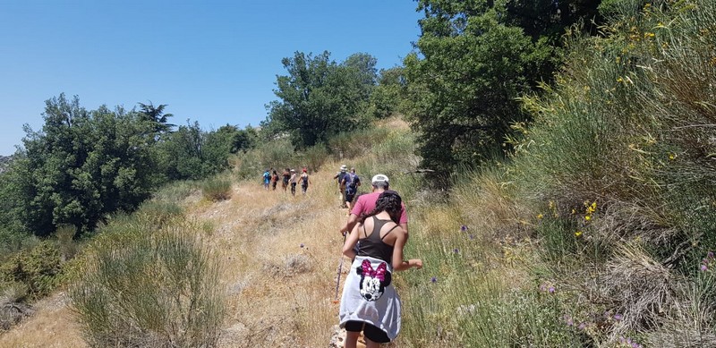 Hiking at Tannourine Cedar Forest