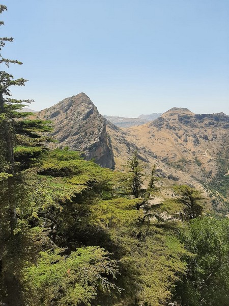 Hiking at Tannourine Cedar Forest