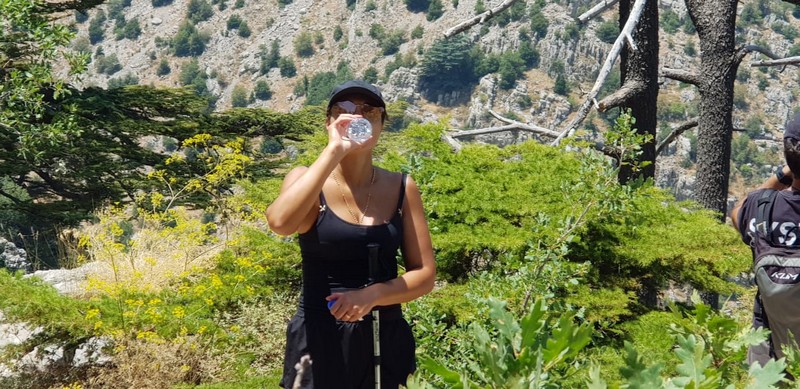 Hiking at Tannourine Cedar Forest