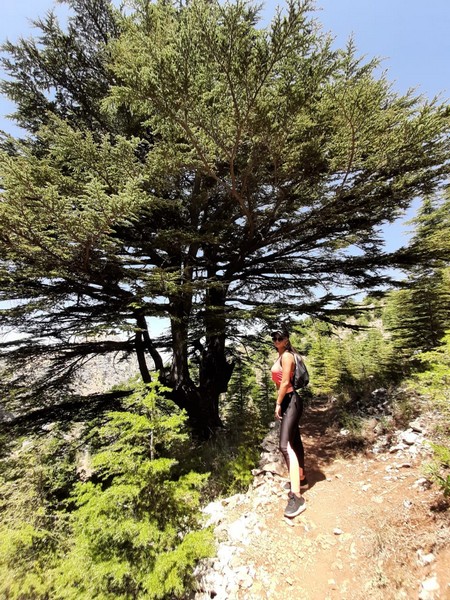 Hiking at Tannourine Cedar Forest