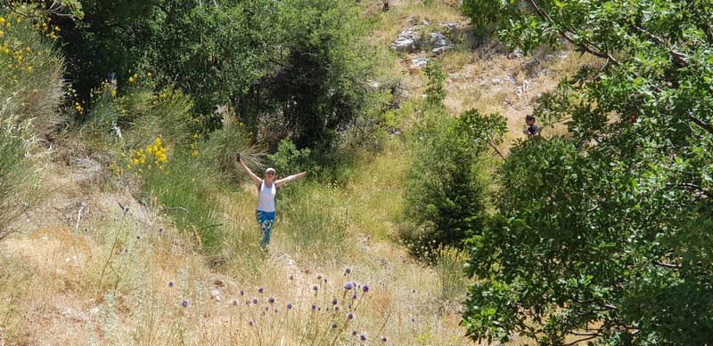 Hiking at Tannourine Cedar Forest