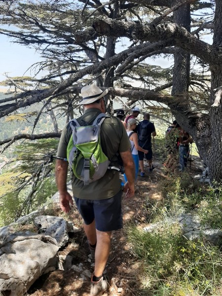 Hiking at Tannourine Cedar Forest