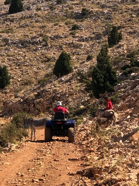 Hiking at Tannourine Cedar Forest