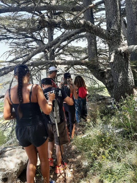 Hiking at Tannourine Cedar Forest