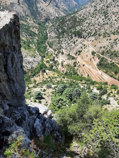 Hiking at Tannourine Cedar Forest