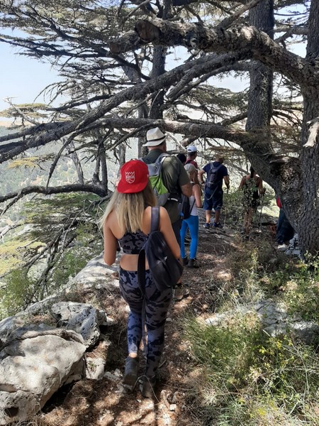 Hiking at Tannourine Cedar Forest