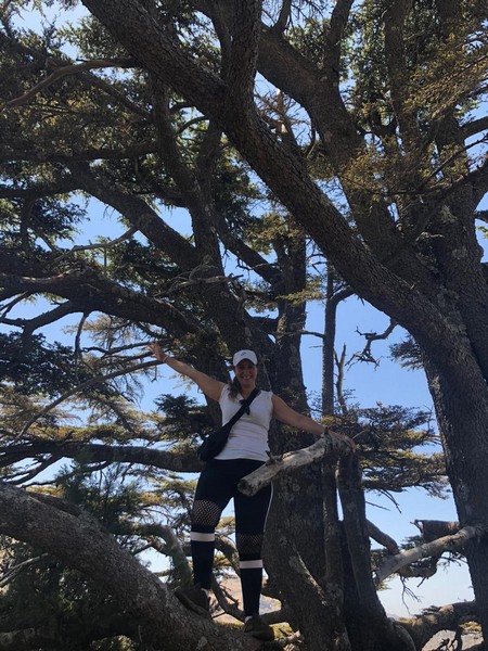 Hiking at Tannourine Cedar Forest