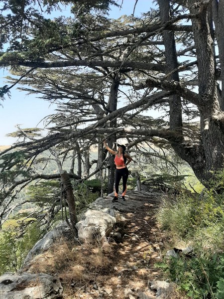 Hiking at Tannourine Cedar Forest