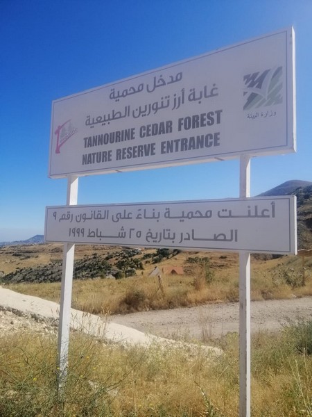 Hiking at Tannourine Cedar Forest
