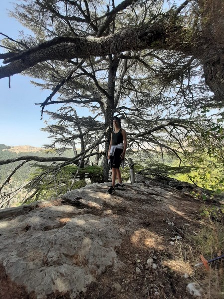 Hiking at Tannourine Cedar Forest