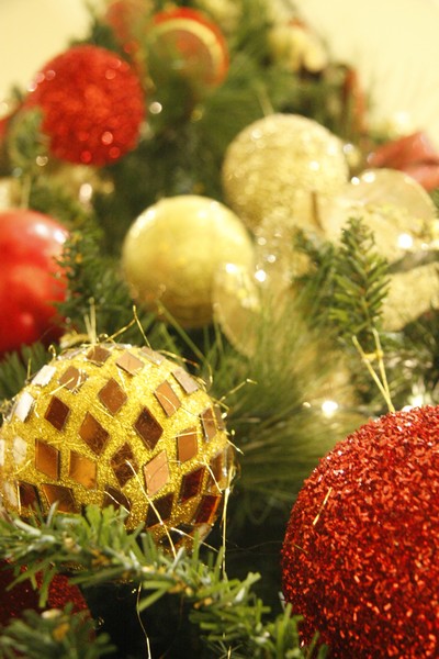 Sagesse Christmas Carols