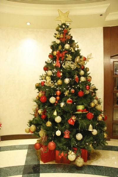 Sagesse Christmas Carols