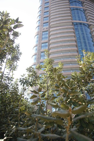 Breakfast buffet at Al Diyafa restaurant