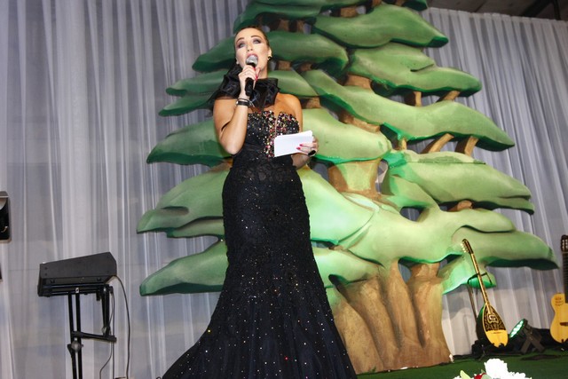 Independence Day fundraising Dinner 