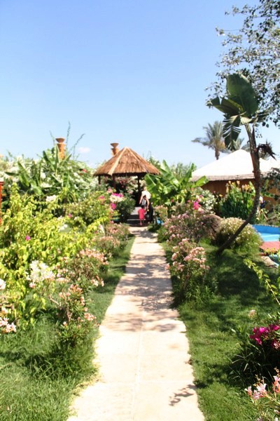 Pool Party at Janna Sur Mer