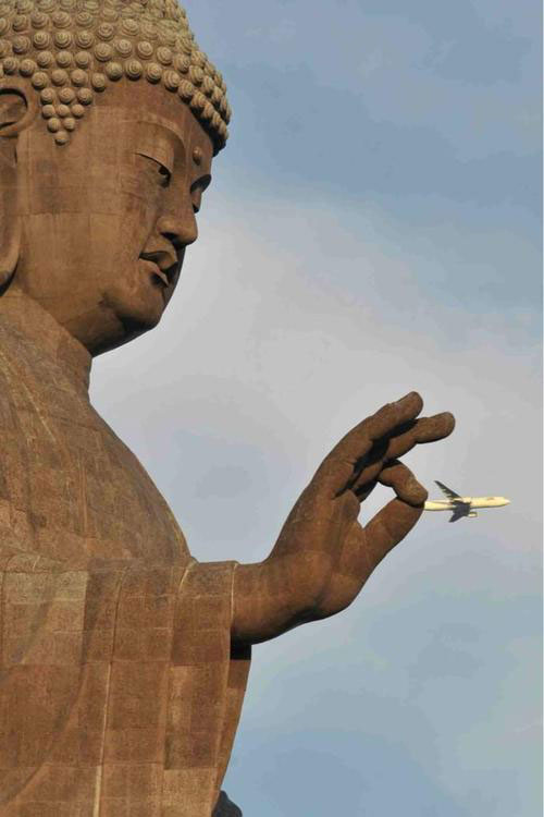 50 Pictures at Perfect Timing