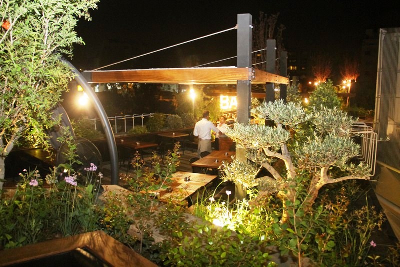 Kitchen Yard on Saturday Night