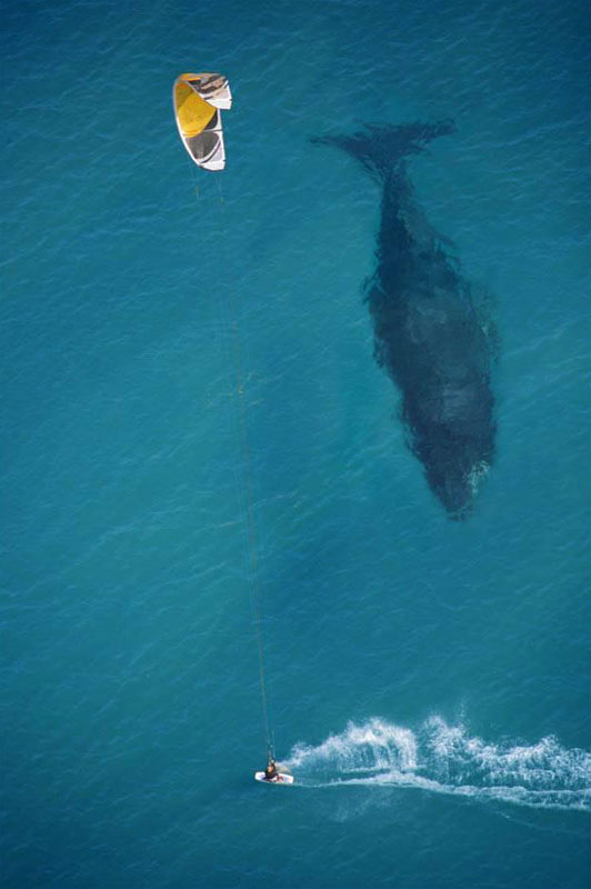 50 Pictures at Perfect Timing