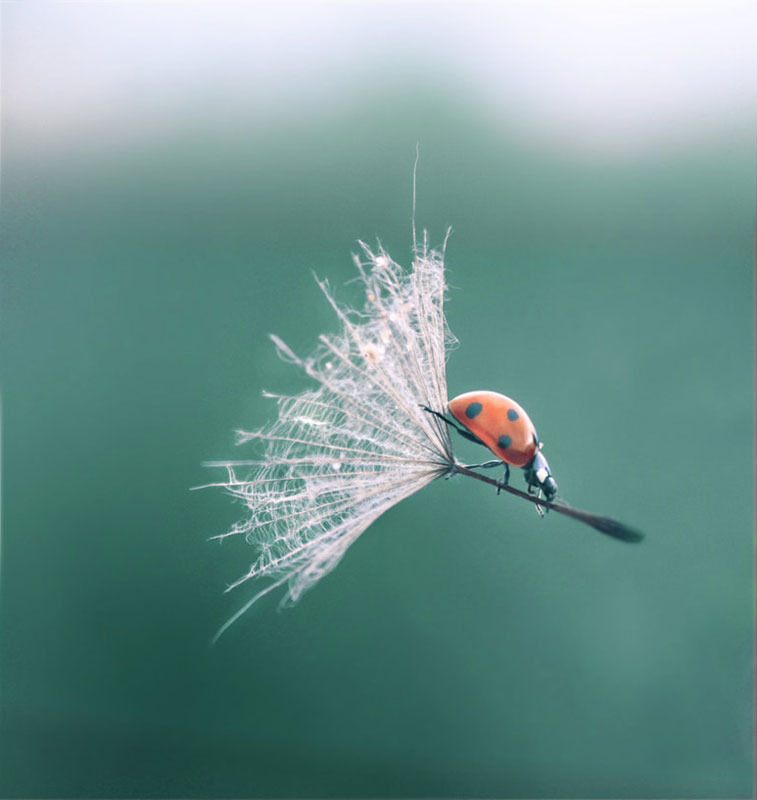 50 Pictures at Perfect Timing
