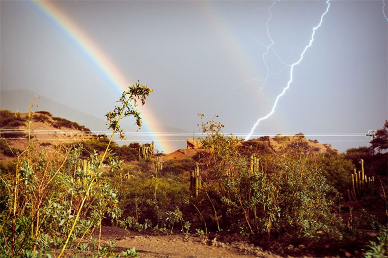 50 Pictures at Perfect Timing