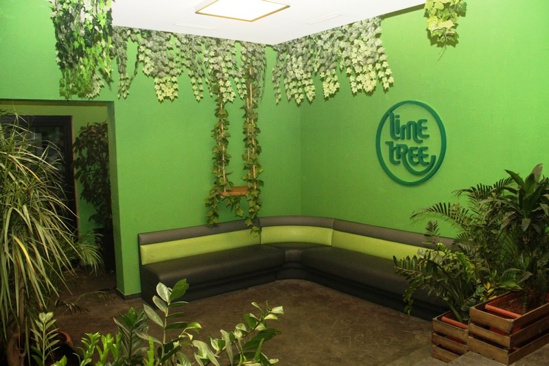 Lime Tree on Friday Night