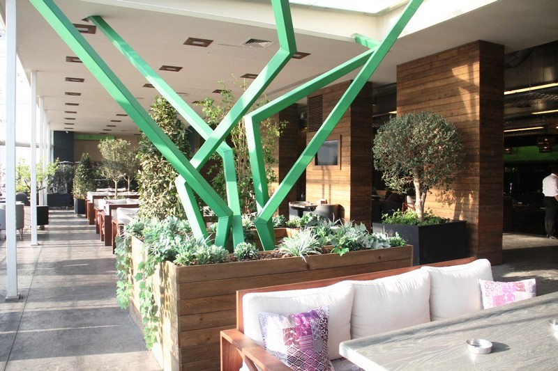 Lime Tree on Friday 