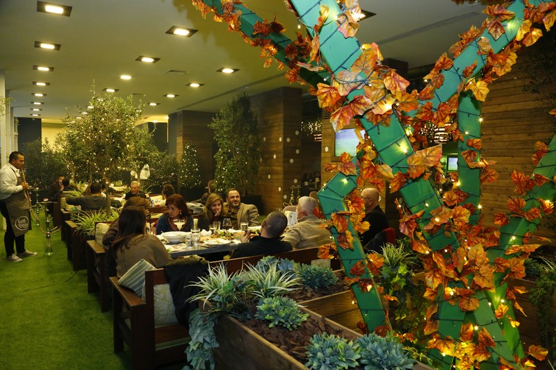 Lime Tree on Saturday Night