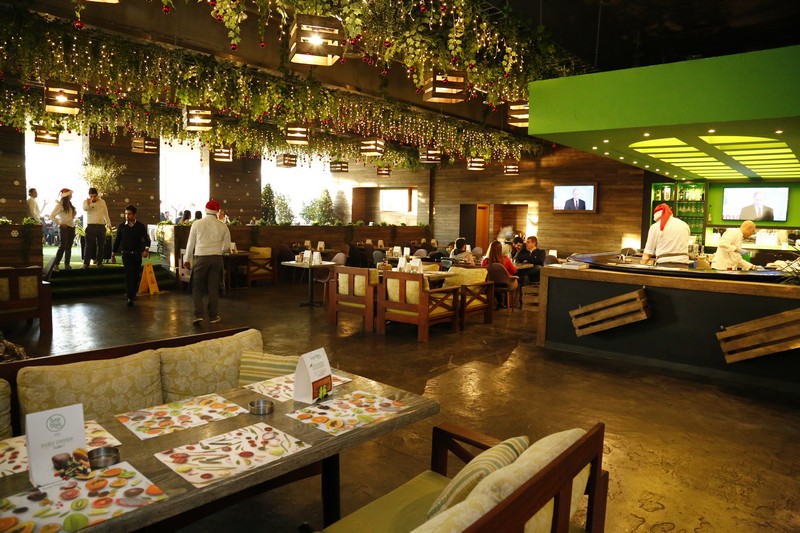 Lime Tree on Sunday 