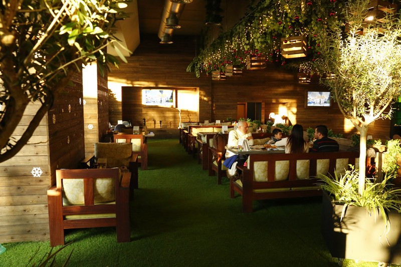 Lime Tree on Sunday 