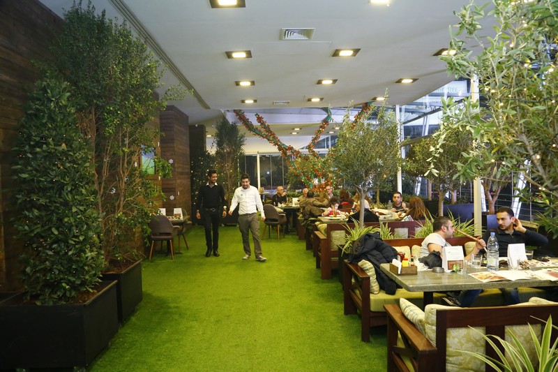 Lime Tree on Saturday Night