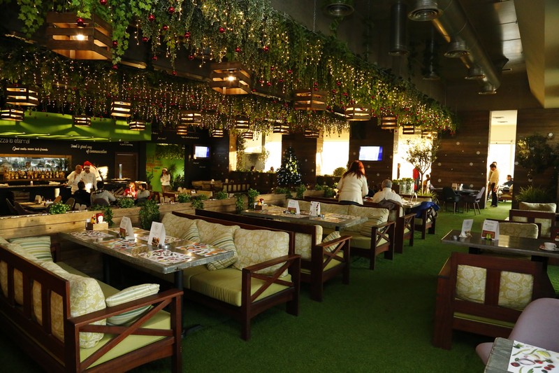 Lime Tree on Sunday 