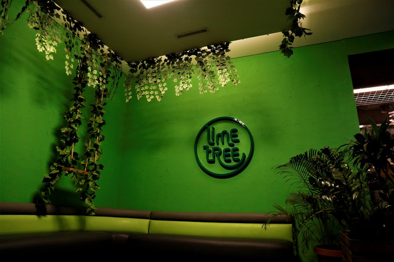 Lime Tree on Friday Night