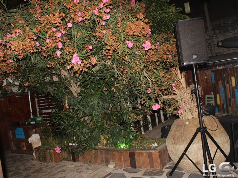 Tropical Sensation Sunset and RnB