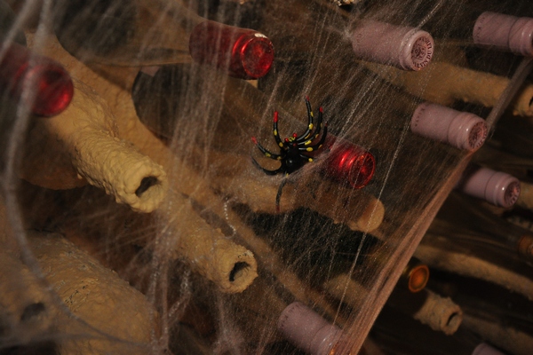 Halloween at Malgo Publicity