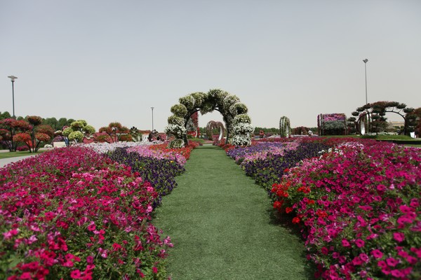 Dubai Miracle Garden 