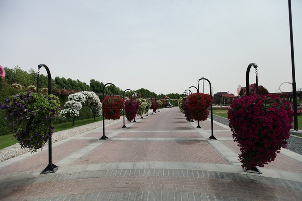 Dubai Miracle Garden 