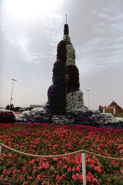 Dubai Miracle Garden 