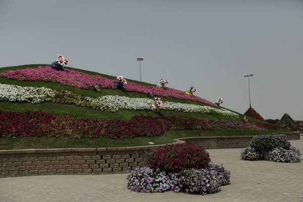 Dubai Miracle Garden 