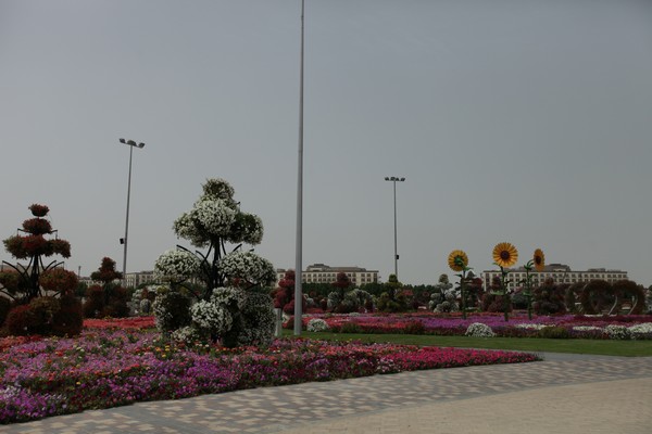 Dubai Miracle Garden 