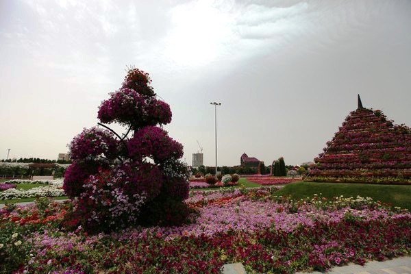 Dubai Miracle Garden 