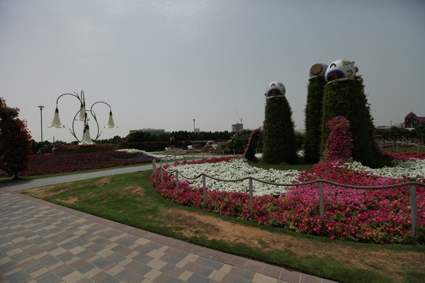Dubai Miracle Garden 