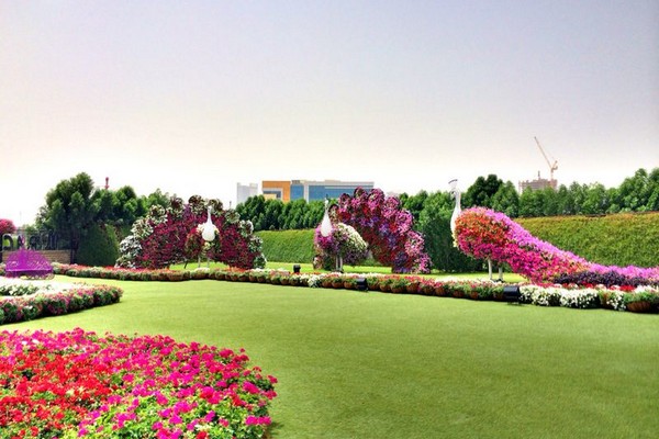 Dubai Miracle Garden 