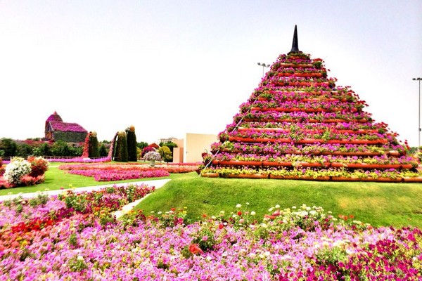 Dubai Miracle Garden 