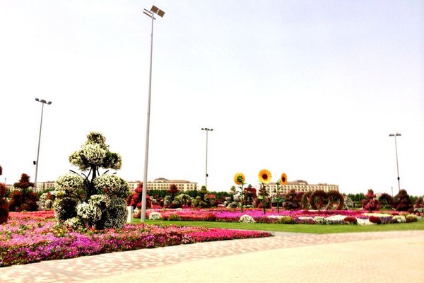 Dubai Miracle Garden 