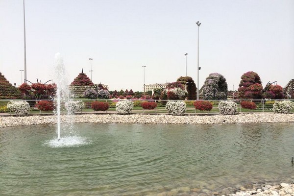 Dubai Miracle Garden 