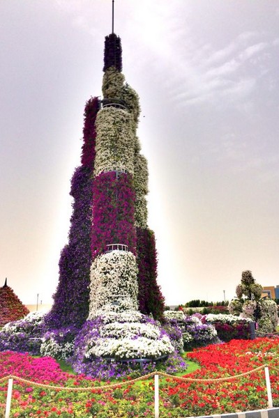 Dubai Miracle Garden 